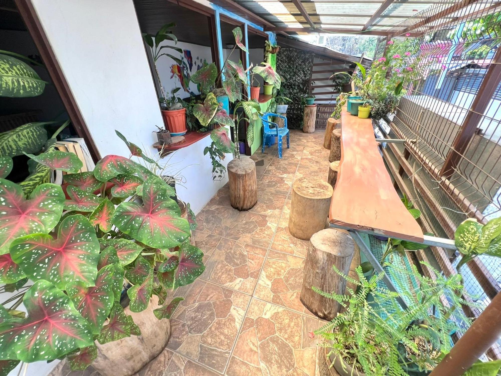 Passifloras Hostel Кепос Экстерьер фото